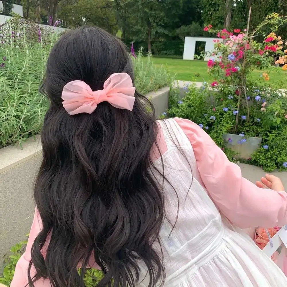 诚实国度的爱丽丝